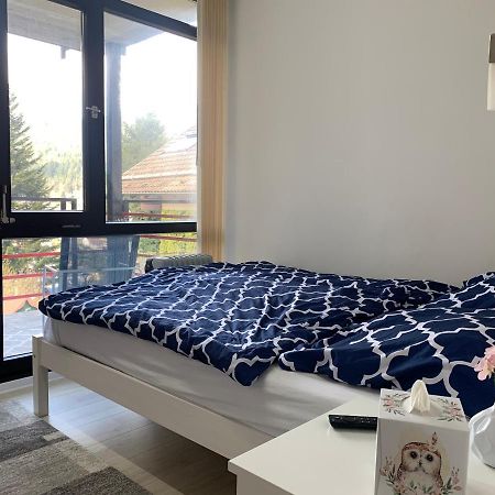 Kleines Einzimmer-Apartment 23 Bad Wildbad Bagian luar foto