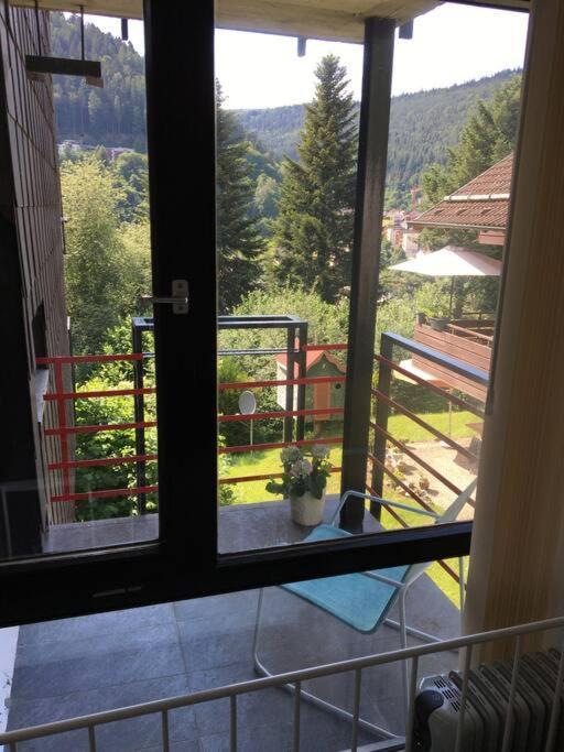 Kleines Einzimmer-Apartment 23 Bad Wildbad Bagian luar foto