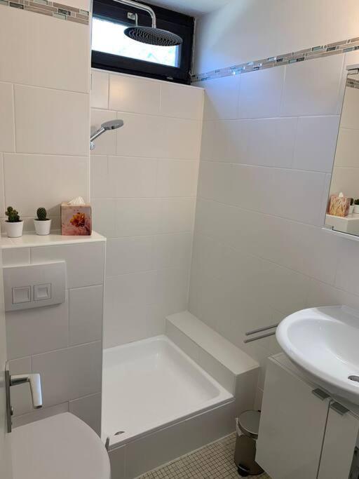 Kleines Einzimmer-Apartment 23 Bad Wildbad Bagian luar foto
